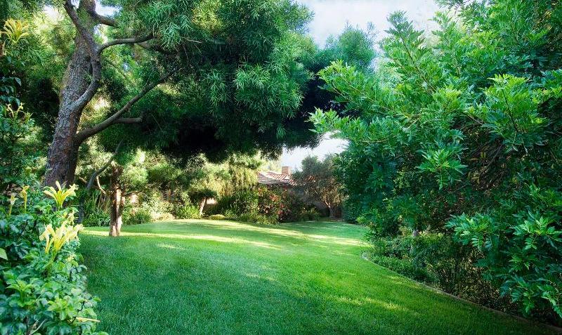 The Benefits of Professional Lawn Services