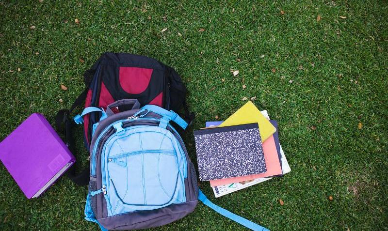 Shrub Fertilization Is Important for Plant Growth