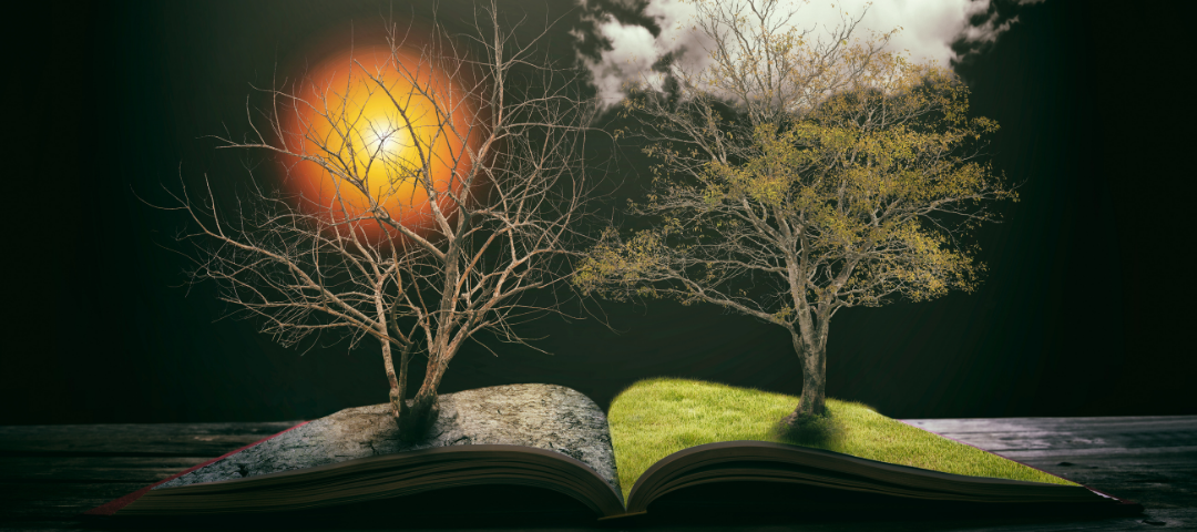 Why study global challenges?