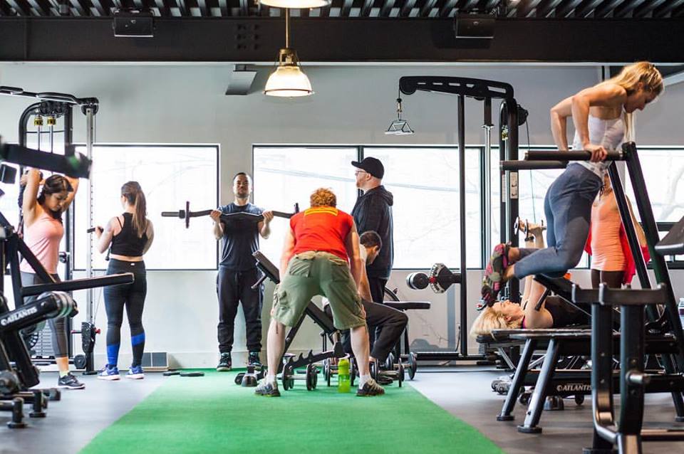 The Obf Gyms 12-Week Body Transformation Program