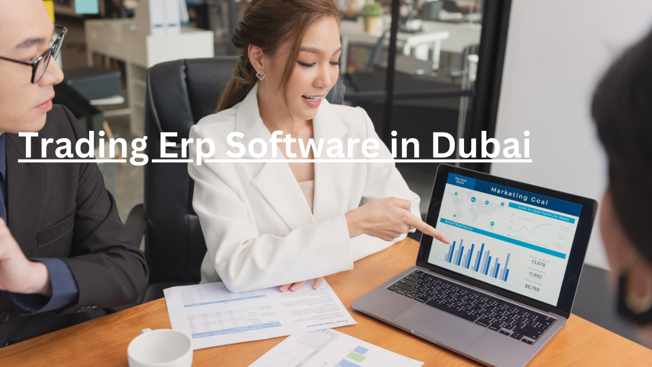 Trading Erp Software in Dubai
