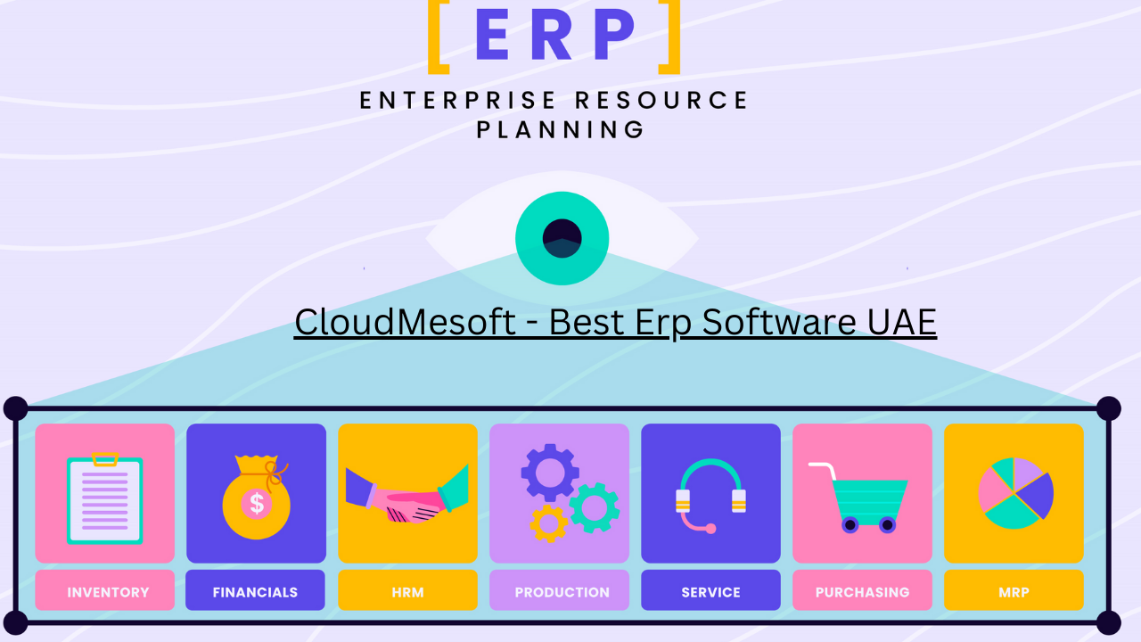 Best Erp software in UAE