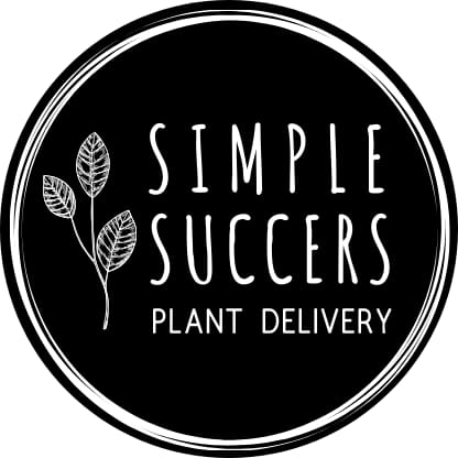 Advantages Of Online Plant Ordering