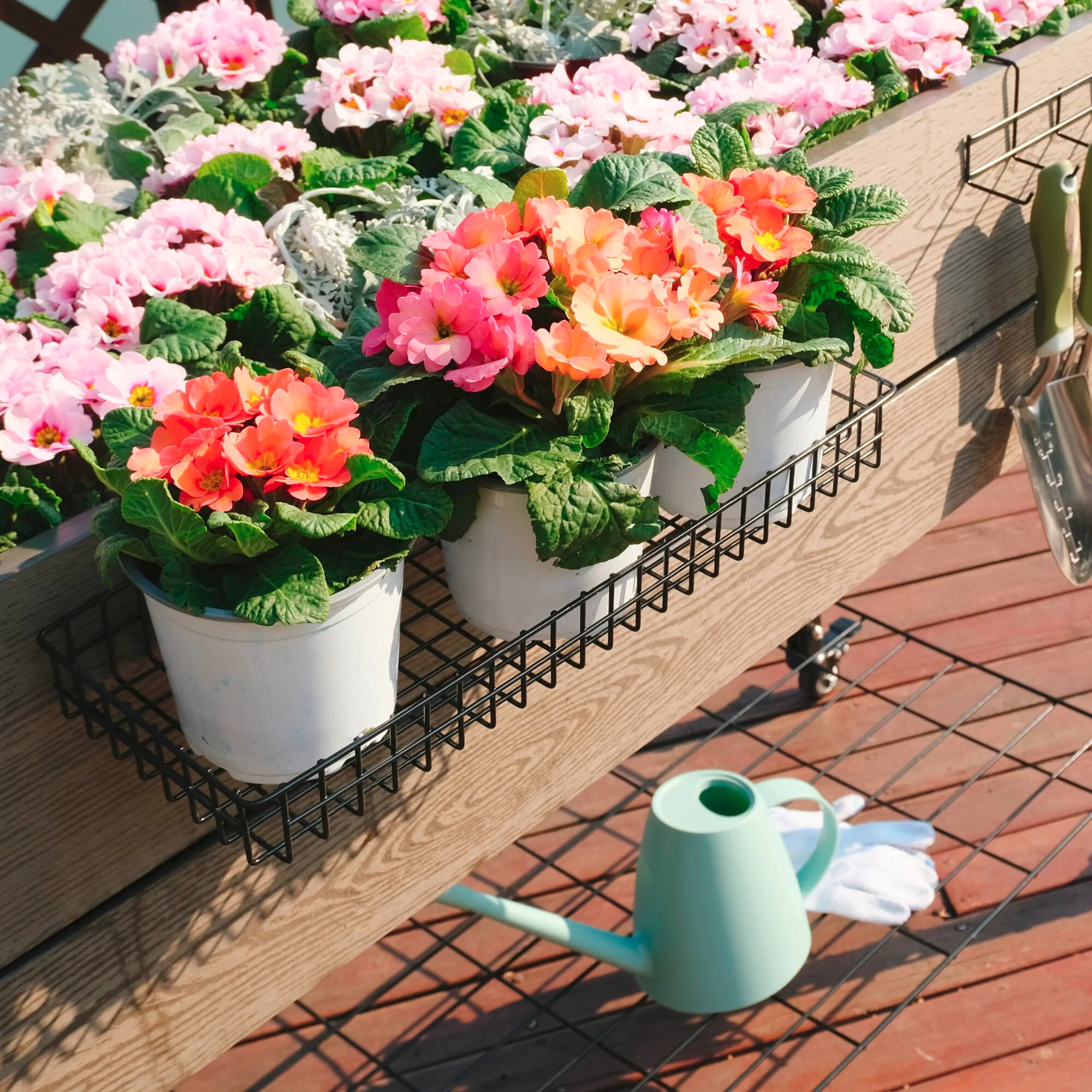 Garden Trellis With Contemporary Planters