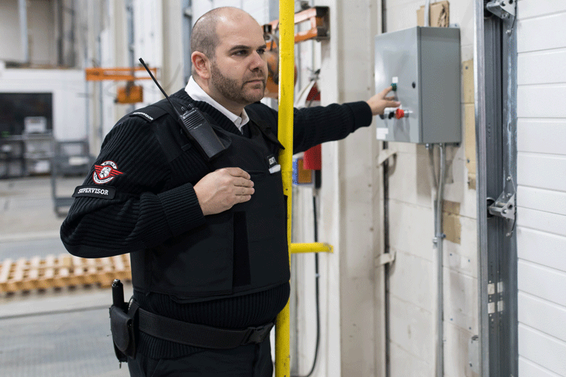 Comprehensive Overview of Class D Security License