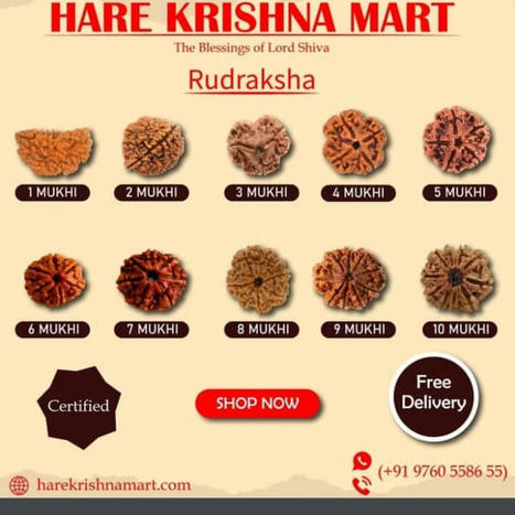 Buy original rudraksha  | Buy rudraksha 