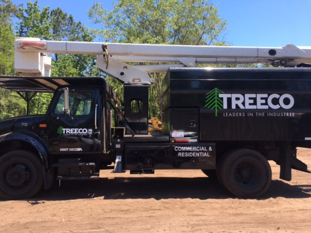 Reasons to use professional tree removal services