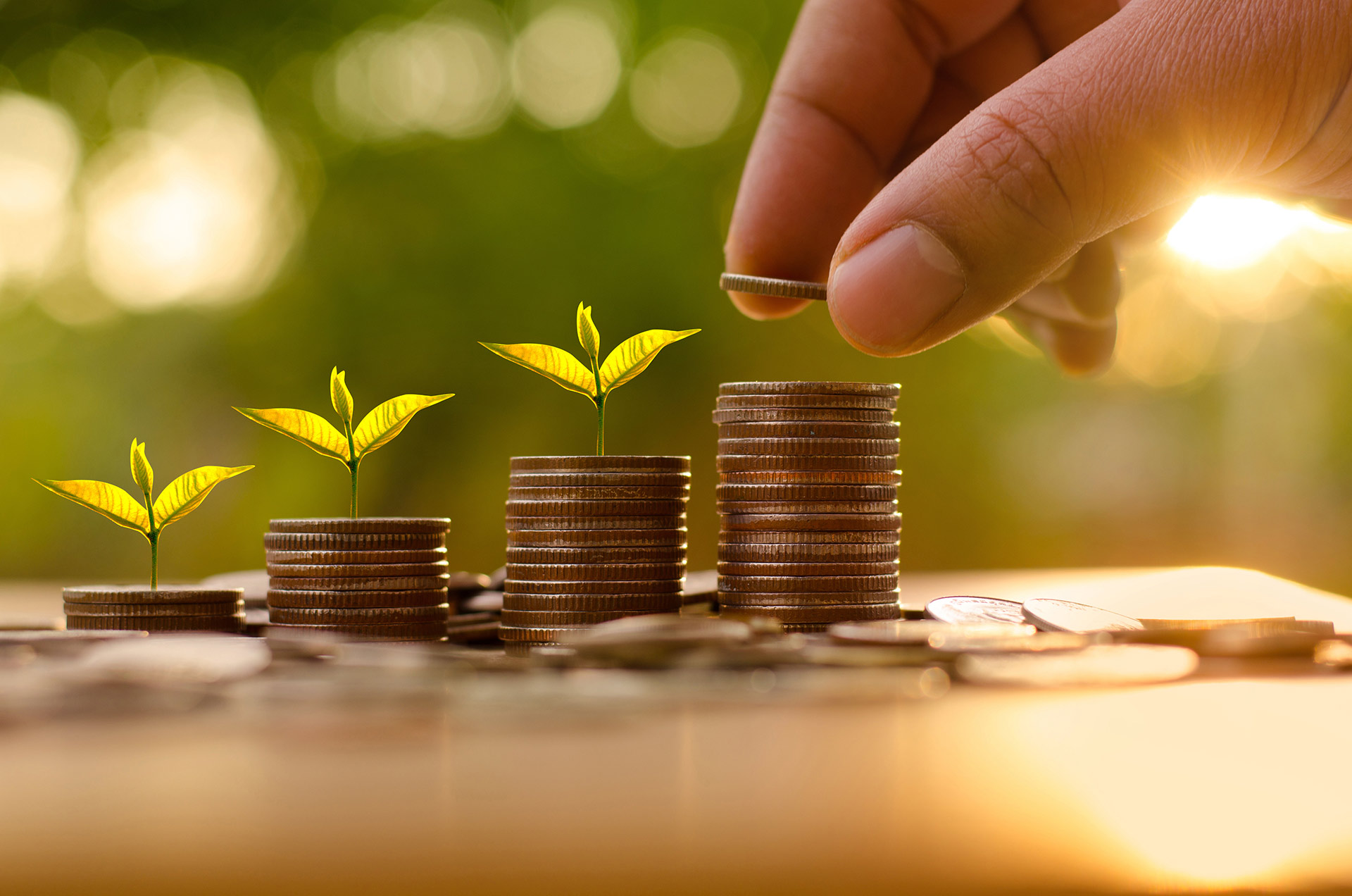 Tips to Avoid Wealth Management Blunders   