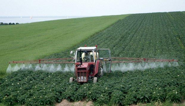 Agricultural Enzymes Market: Growth, Size, Share, Demand, and CAGR of ~12% during the forecast period 2022 – 2031