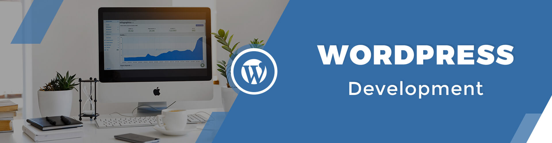 Issues with WordPress and reasons behind its popularity