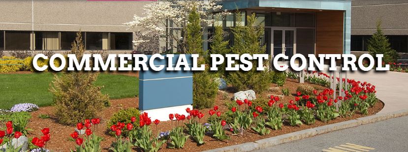 Pest Control Treatment Montgomery County PA