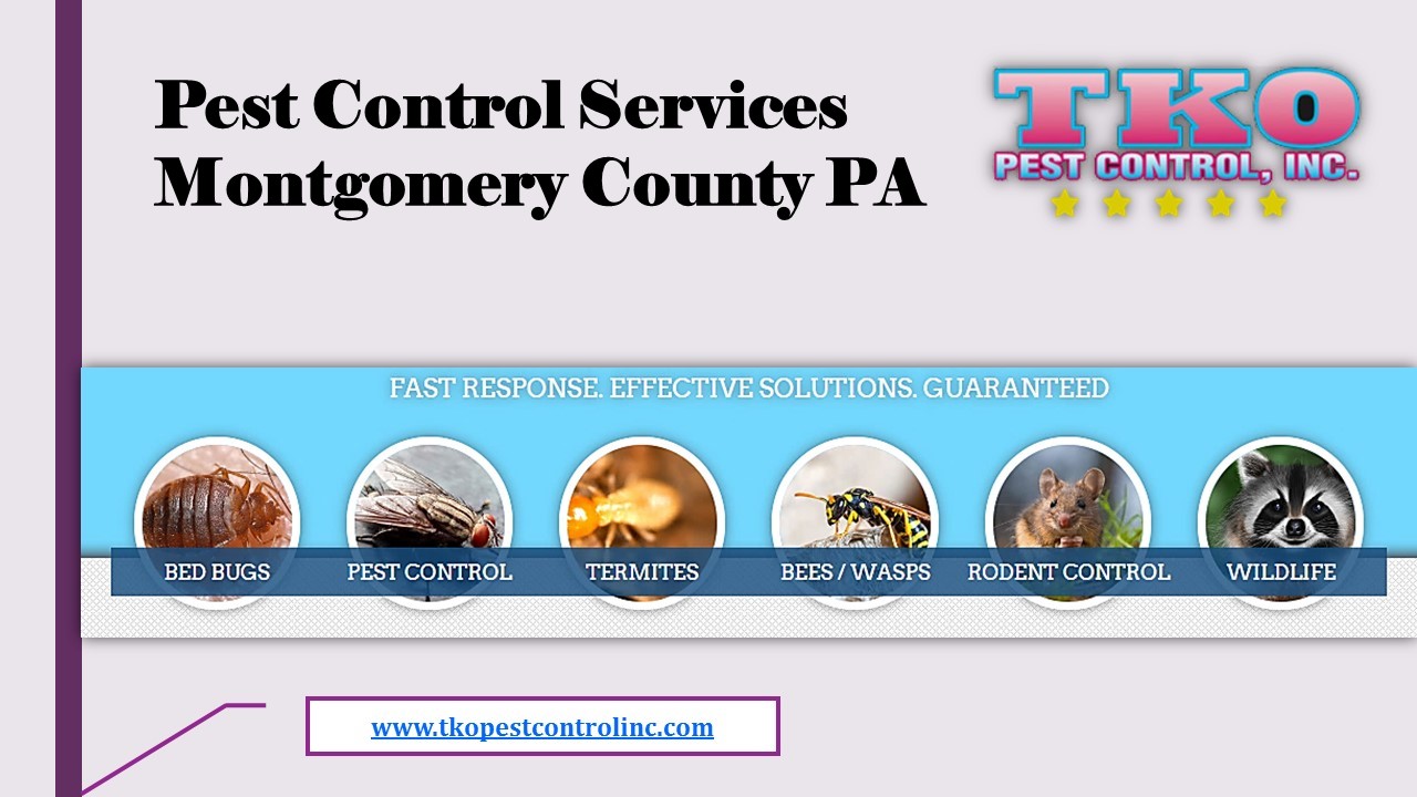 Pest Control Solutions PA