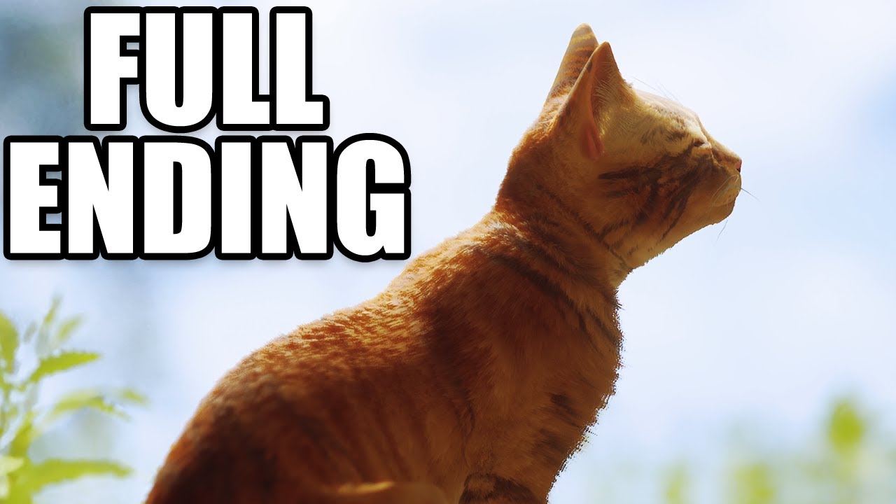 STRAY ENDING PC 2022