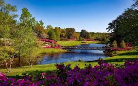 Knowledge of The Multitude of Places To Visit In Alabama
