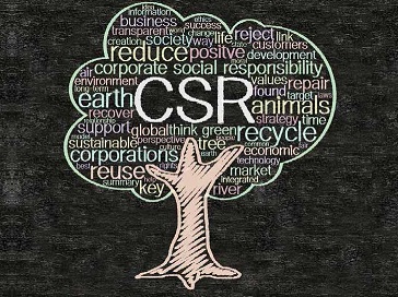 CSR partnership with NGO