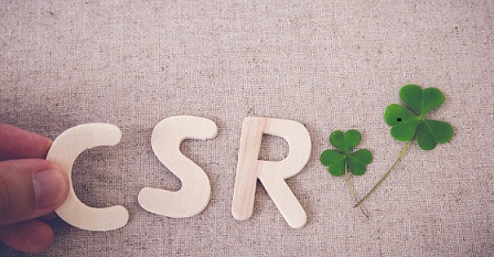 CSR Implementation Partners