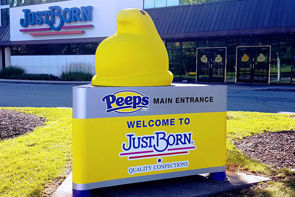 Captivate Customers with Custom Signs in Huntsville, AL: The Art of Professional Signage