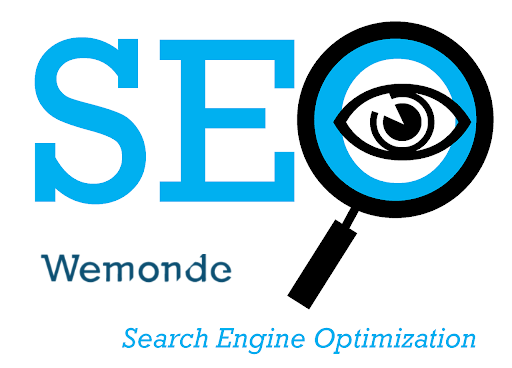 Search Engine Optimization Services in India