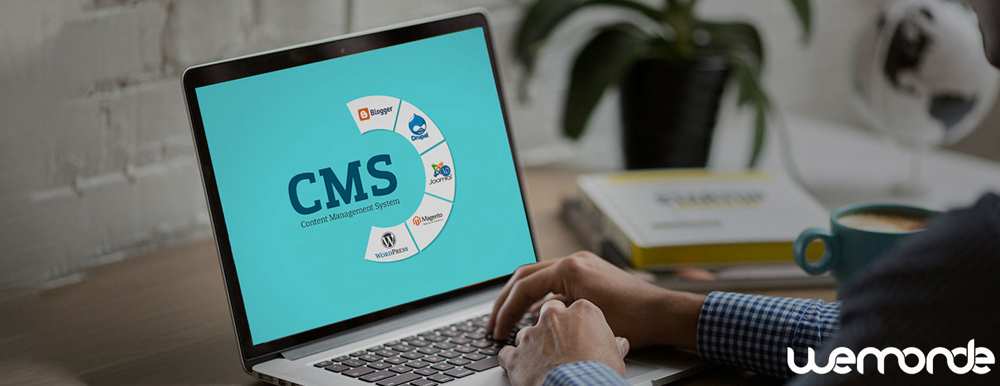 Best CMS Development Services India