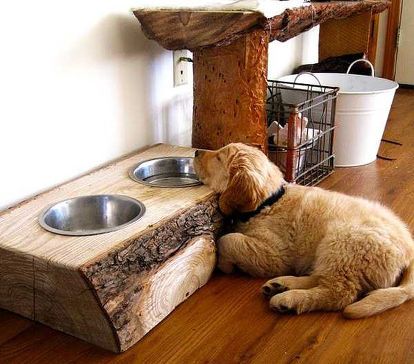What is the use of dog bowls?