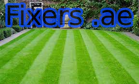 How to make your lawn Beautiful with Grass Cutting Services in 2 steps