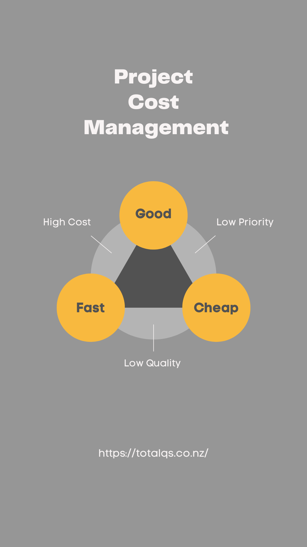 How important is project cost management in the modern business world?