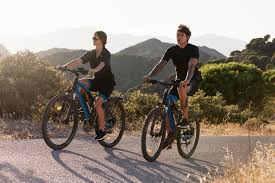 Why Should You Buy an Electric Bike Online? 