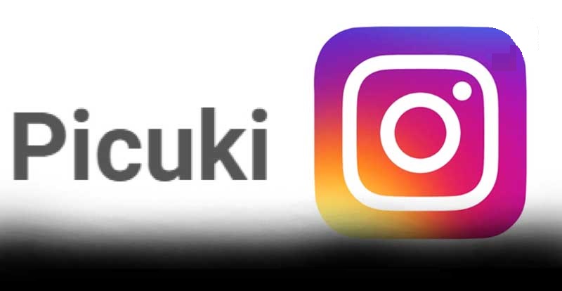 Picuki instagram search