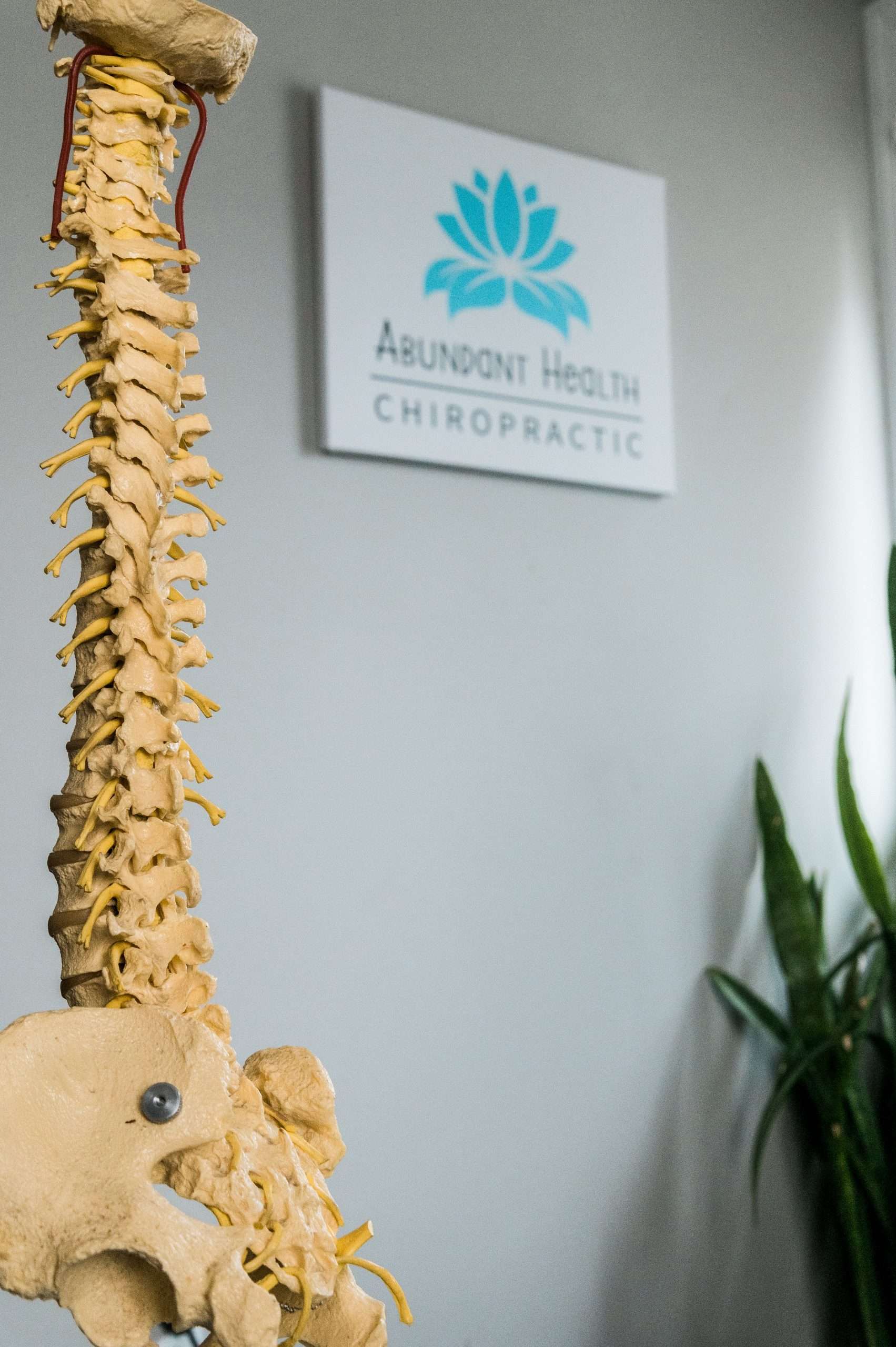 Proactive Chiropractic Techniques: Unlocking Your Body's Natural Healing Powers