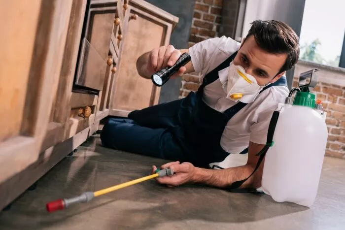 Why Is It Beneficial to Hire a Spider Exterminator?