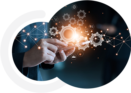 SEDEX Certification Consultant - Supplier Ethical Data Exchange | 4C Consulting