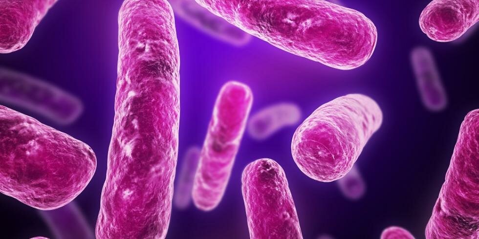 Cefiderocol fights hard-to-treat bacterial infections