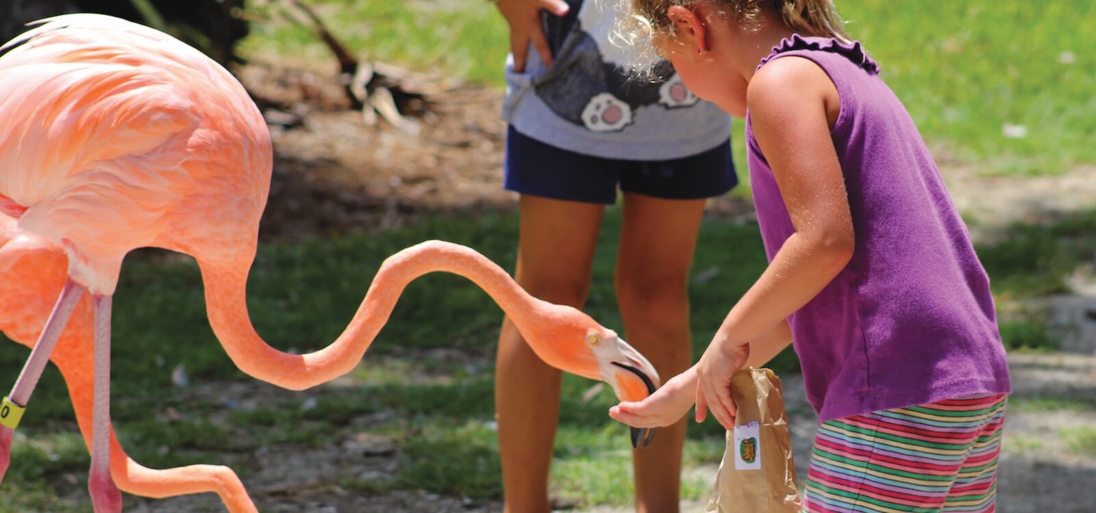 Things to do with kids in SWFL: