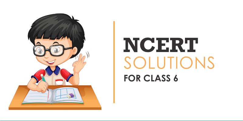 Ncert Solution for Class 6 Maths Chapter 7
