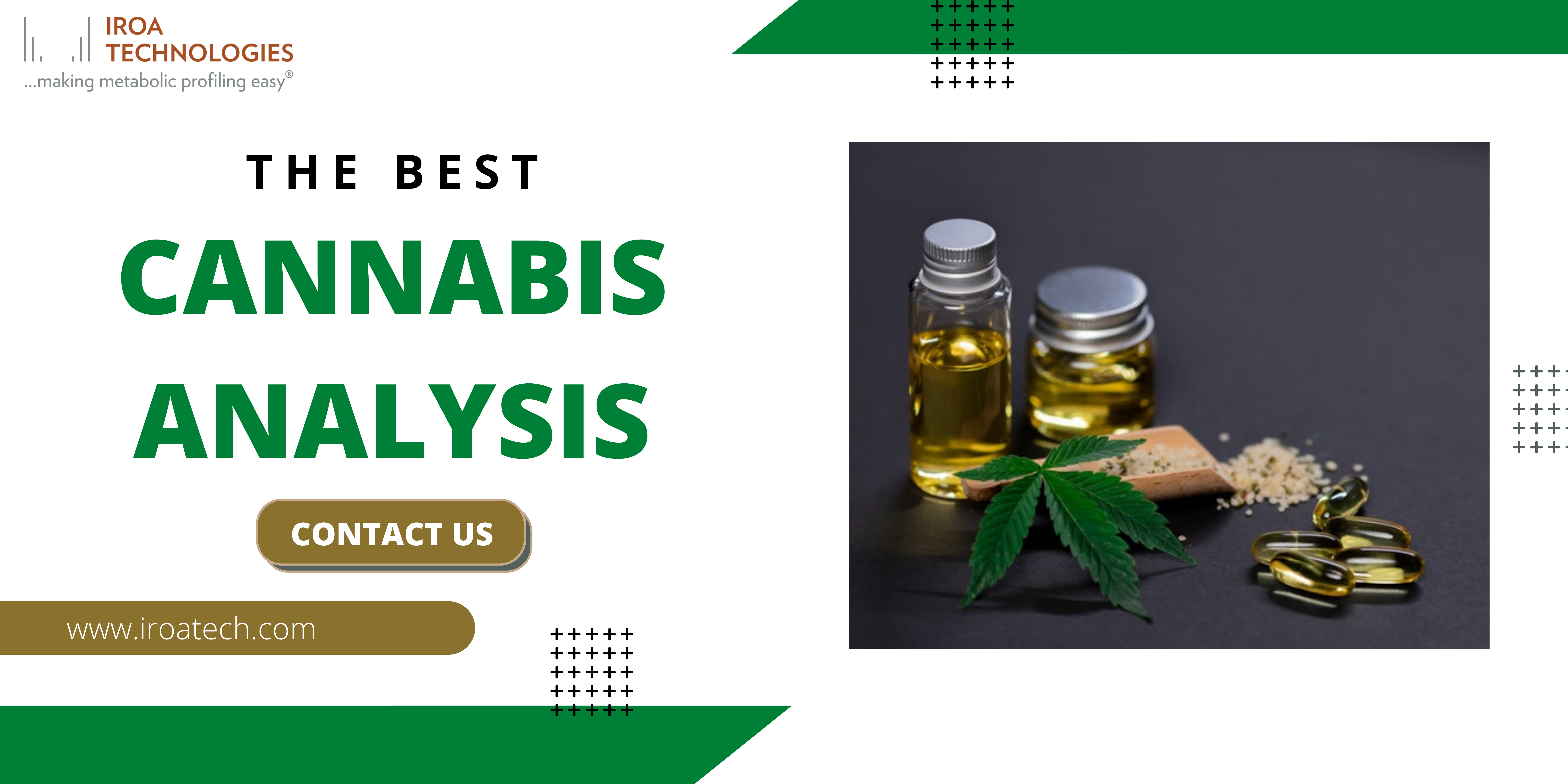 What Are The Requirements and Cannabis Standards For Suppliers?