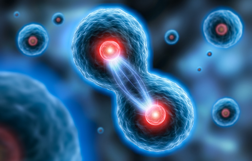 Global Cell Dissociation Market is projected to be worth USD 881.48 million by 2030