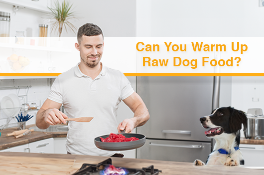 Considering Food Temperature for Dogs: Exploring Warming Techniques for Raw Diets