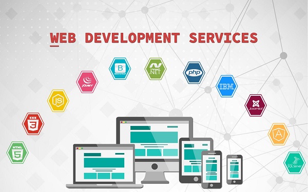 Custom Website Development in Pakistan
