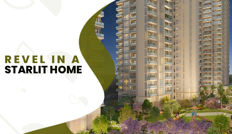 REVEL IN A STARLIT HOME