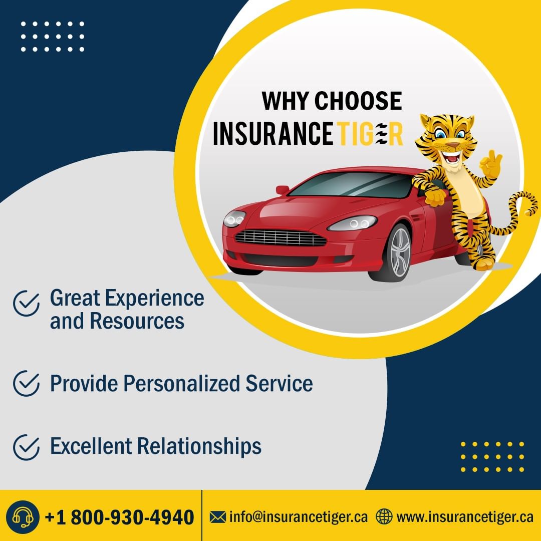 Insurance advisor in Toronto
