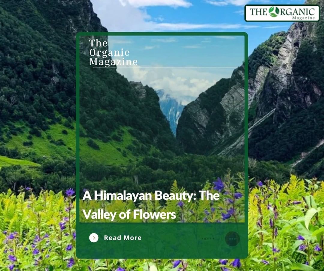 A new age of tourism