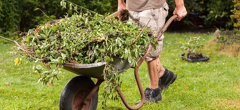 Green Waste Removal - What Should You Know About It?