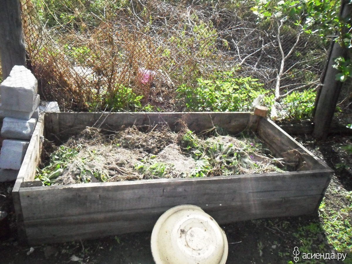 5 Reasons to Use a Green Waste Removal Service