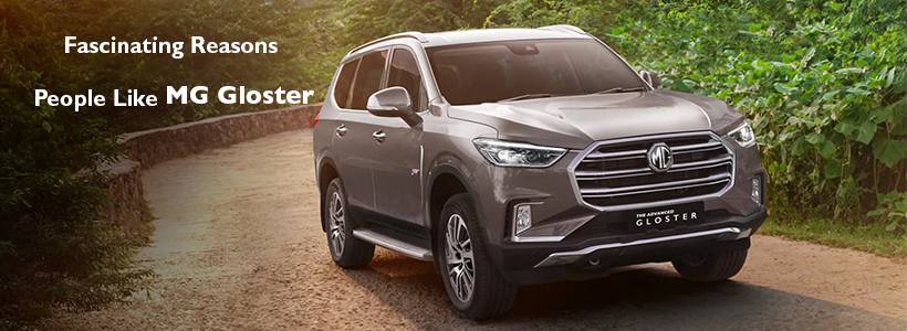 Fascinating Reasons People Like MG Gloster