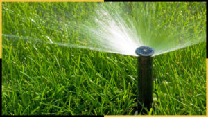Practical Experience Of A Residential Landscape Designer