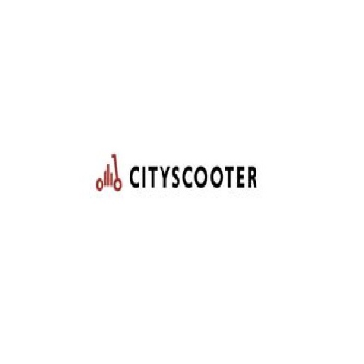 Buy Electric Scooter and motor scooter online Cityscooter.be
