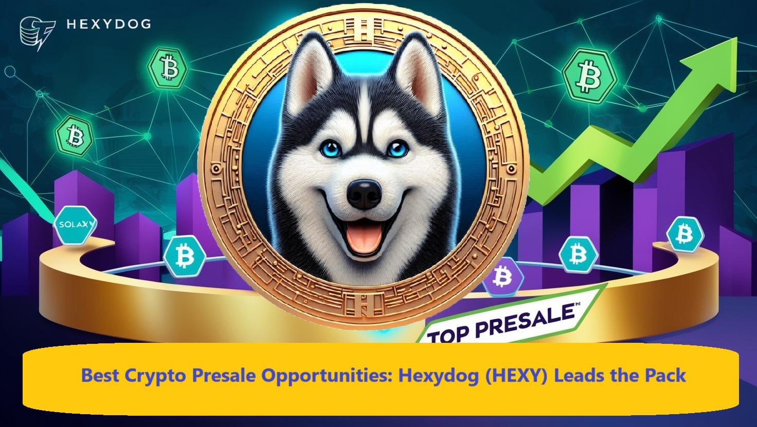 What is HexyDog and how does it work?