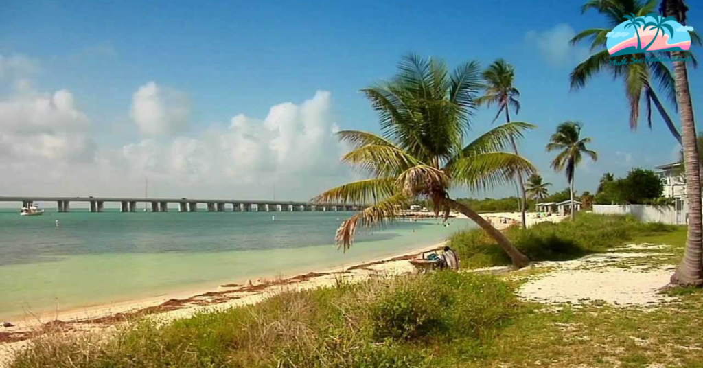 You Must Need To Know All About Big Pine Key 