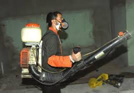 شركة مكافحة حشرات بالرياض