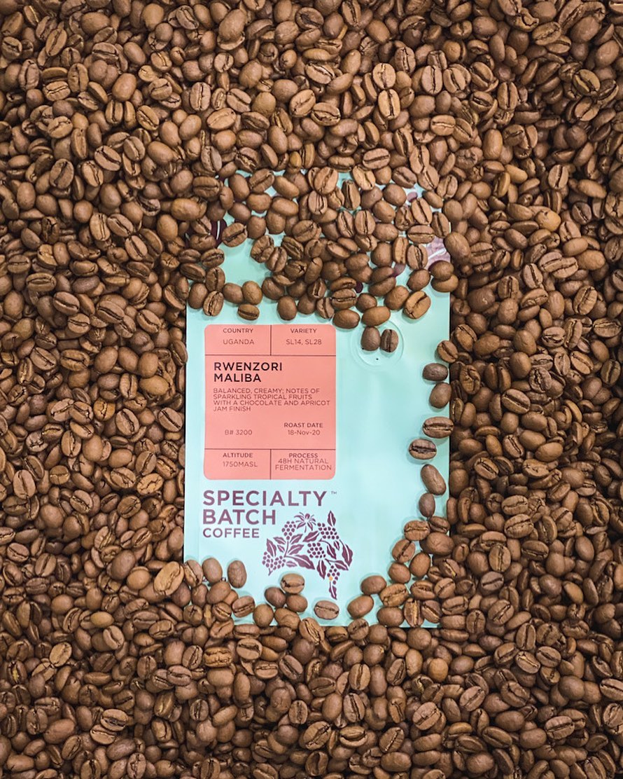 Cold Brew Speciality Coffee Extraction Methods to Try at Home